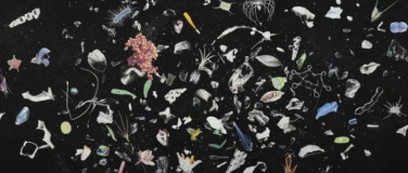 Event-Image for 'Payer Gabriel &ndash; Natura Systematum'