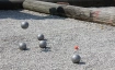 Pro Senectute Aargau &laquo;P&eacute;tanque in Oberentfelden&raquo;