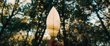 Event-Image for 'Schamanisches Breathwork - Heilung f&uuml;r die Ahnenlinie'