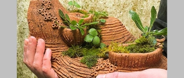 Event-Image for 'Pflanzeninseln Aus Ziegelsteinton'