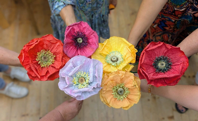Rahmenprogramm ALLES ECHT!: Mohnblumen-Workshop