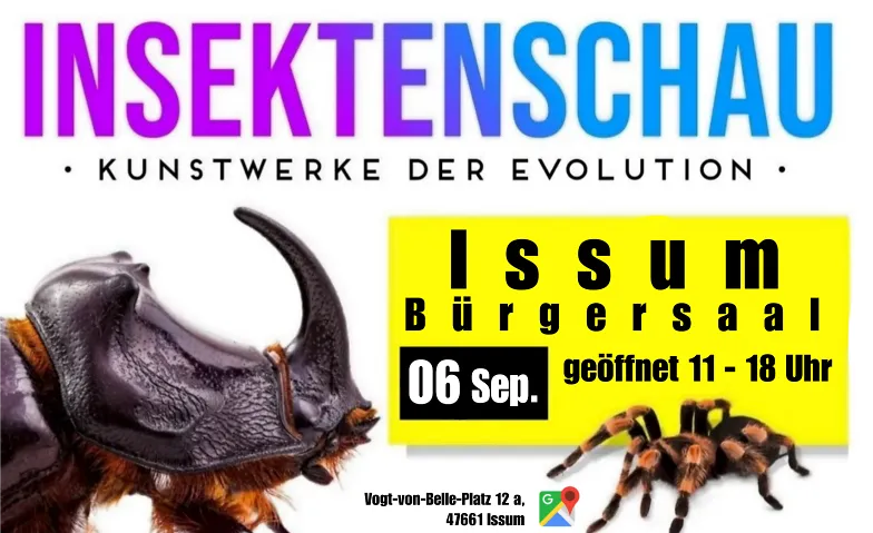 Insektenschau - Kunstwerke der Evolution