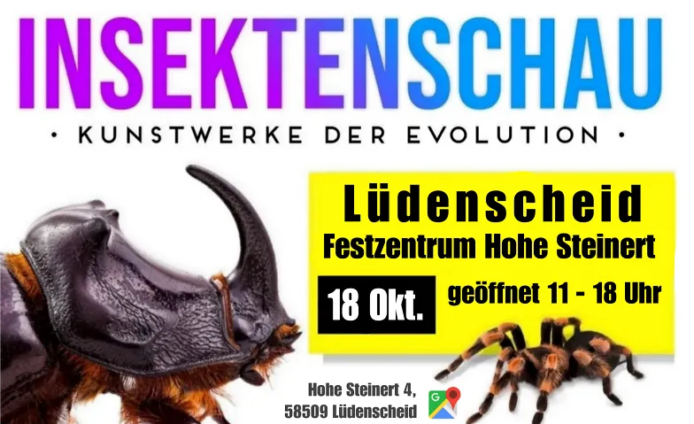 Insektenschau - Kunstwerke der Evolution
