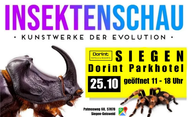 Insektenschau - Kunstwerke der Evolution