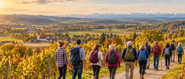 Event-Image for 'Weinweg Weinfelden: Herbstwanderung mit Verein Polen-Schweiz'