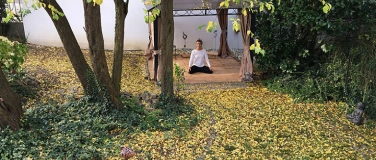Event-Image for 'MBSR Kurs "Plum Fall" 2026'
