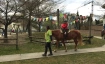 Ponyreiten