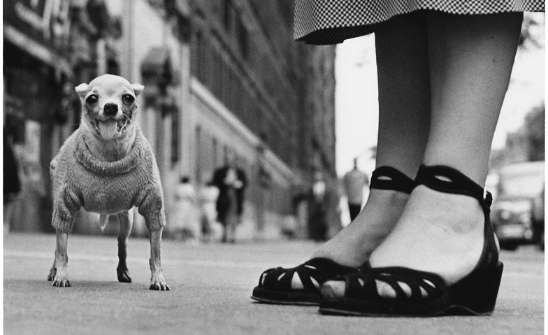 Event-Image for 'Elliott Erwitt - People, Places, Moments'