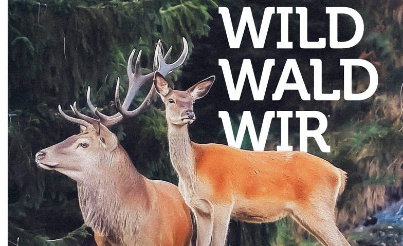Sonderausstellung «Wild. Wald. Wir.»