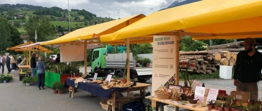 Event-Image for 'Buuramart mit Setzlingsst&auml;nden'