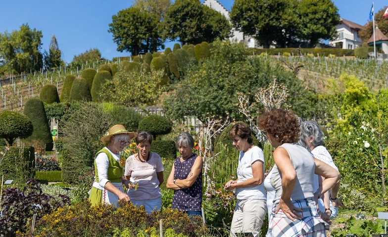 Event-Image for 'F&uuml;hrung durch den Barockgarten'