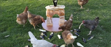 Event-Image for 'Regardez! Art, gourmandises et &eacute;change'