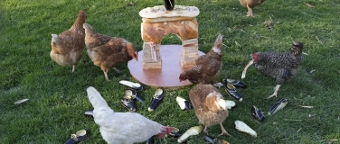 Event-Image for 'Kunst zum Zmittag'