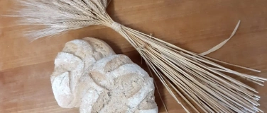 Event-Image for 'Landwirtschaft damals: Vom Korn zum Brot'