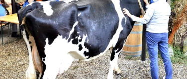 Event-Image for 'Gottesdienst mit Trachtentanz / Vom Heu zur Milch und Anke'