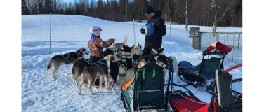 Event-Image for 'Husky-Abenteuer in Schwedisch Lappland'