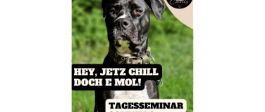 Event-Image for 'Tagesseminar f&uuml;r dich & deinen Hund "Hey, chill doch e mol"'