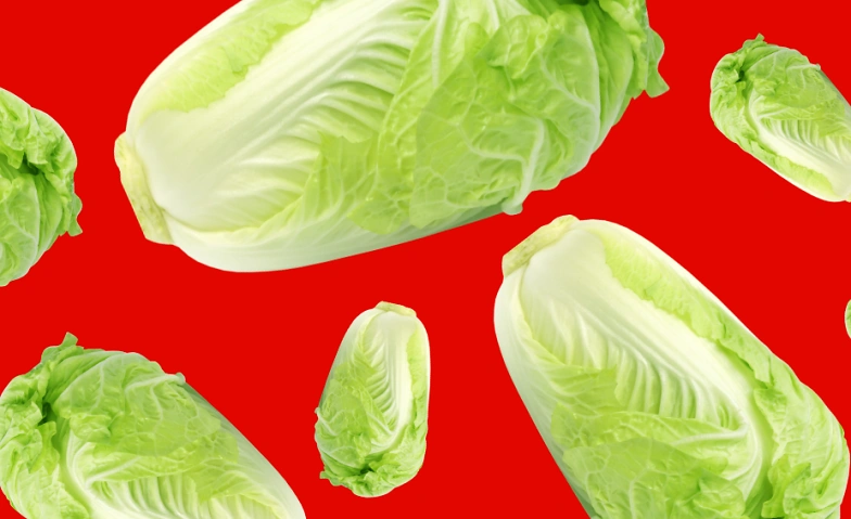 The Secret Garden Kimchi Experience