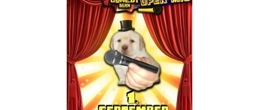 Event-Image for 'Stand Up Bern Open Mic Stellwerk'