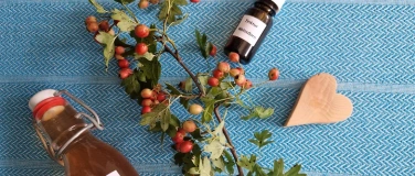Event-Image for 'NATURENA: Heilpflanzen - die Kraft der Natur'