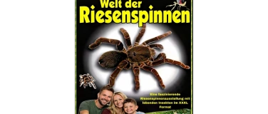 Event-Image for 'King Baboon Tarantula Welt der Riesenspinnen'