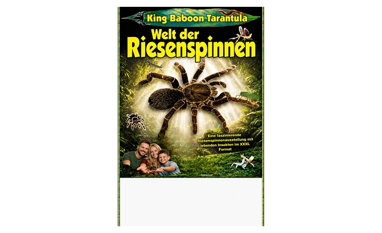 King Baboon Tarantula Welt der Riesenspinnen