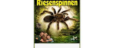 Event-Image for 'King Baboon Tarantula Welt der Riesenspinnen'