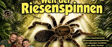 Event-Image for 'King Baboon Tarantula Welt der Riesenspinnen'