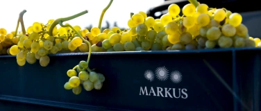 Event-Image for 'Wine and Dine mit exklusiven Weinen aus Kroatien'