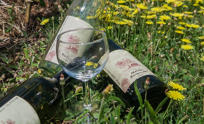 Event-Image for 'Weinwanderung Bischofsberg in der Weinbergslage Johannisberg'