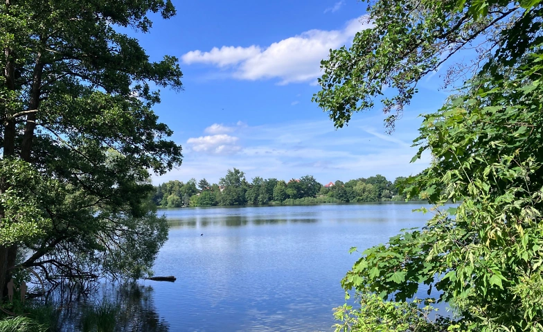Single-Spaziergang Schwerin