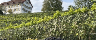 Event-Image for 'Rebl&uuml;t Schlossfest'