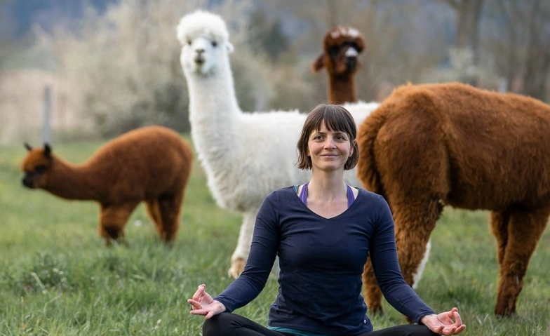 Yoga inmitten Alpakas - Horgen Billets