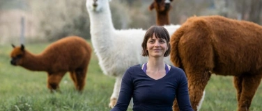 Event-Image for 'Yoga inmitten Alpakas - Horgen'