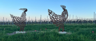 Event-Image for 'Klappstuhl Events'