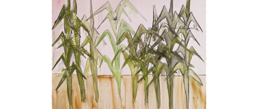 Event-Image for 'Fabrice Hyber. L&rsquo;Artiste Agriculteur'