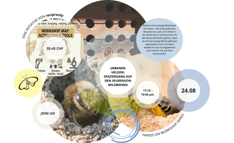 Urbane Helden: SpazierGang auf den Spuren Von WildBienen Hardturmbrache, Hardturmstrasse 269, 8005 Z&uuml;rich Tickets