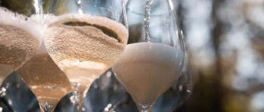 Event-Image for 'Champagne Essentials'