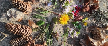 Event-Image for 'Herbstanfang in der Natur'