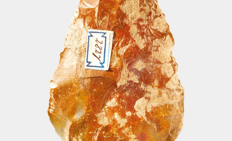 Event-Image for 'Arch&auml;ologie Schweiz'