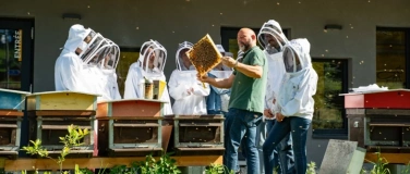 Event-Image for 'Nos abeilles sauvages et nos pesticides'
