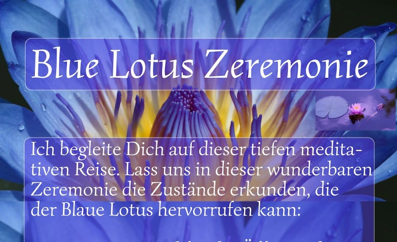 Blue Lotus Zeremonie