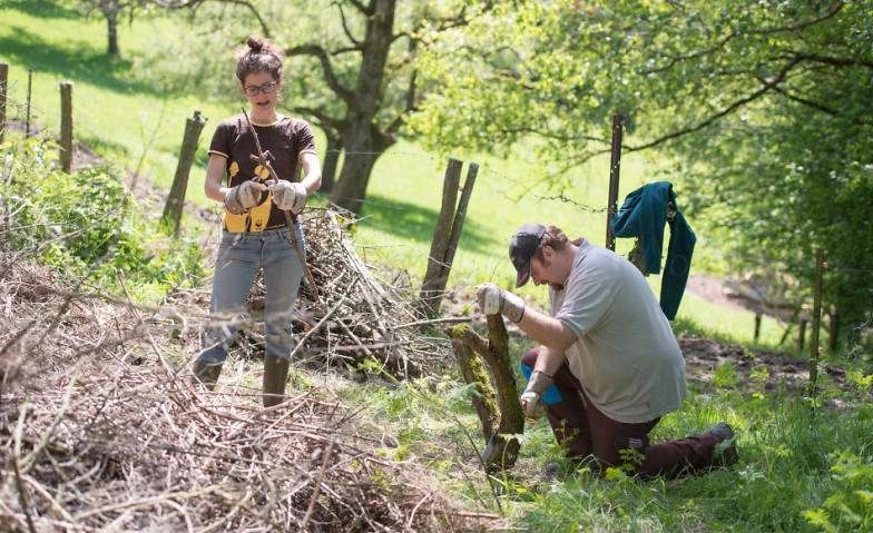 Natur Verbindet – Einsatz für Wald und Wiesel