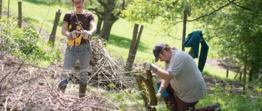 Event-Image for 'Natur Verbindet &ndash; Einsatz f&uuml;r Wald und Wiesel'