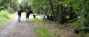Event-Image for 'Soonwald f&uuml;r Suchenende'