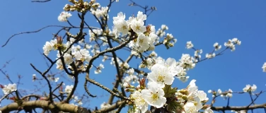 Event-Image for 'Abschlussfeier 2026'