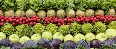 Event-Image for 'Gesunde Ern&auml;hrung im Alter'