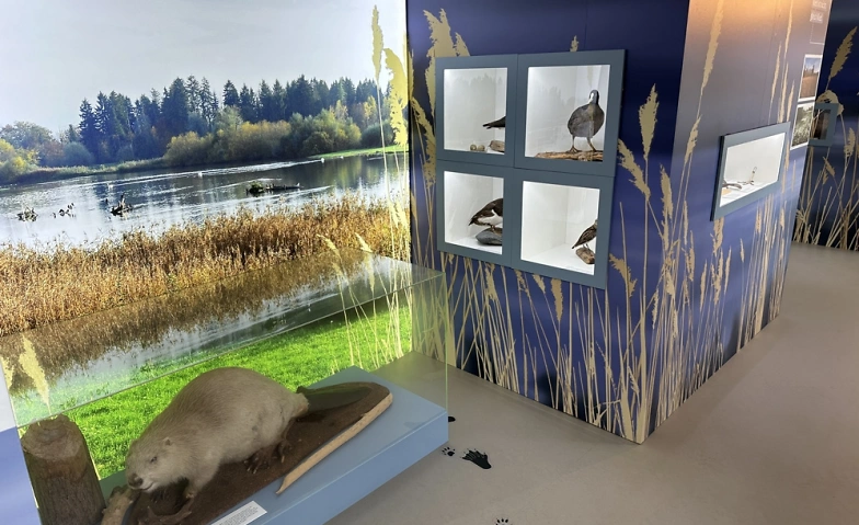Auen, Riedwiesen, Flachsee – Natur- und Kulturlandschaftserb