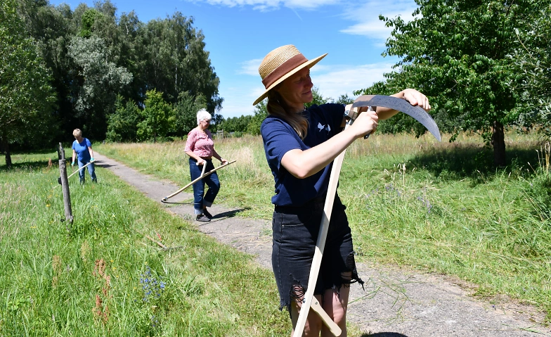 Sensen-Kurs: Sensen und Dengeln für naturverträgliches Mähen