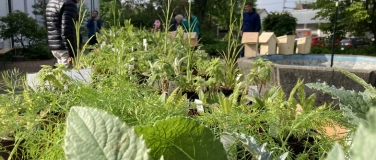 Event-Image for 'Fr&uuml;hlingsmarkt mit Setzlings- und Pflanzentauschb&ouml;rse'